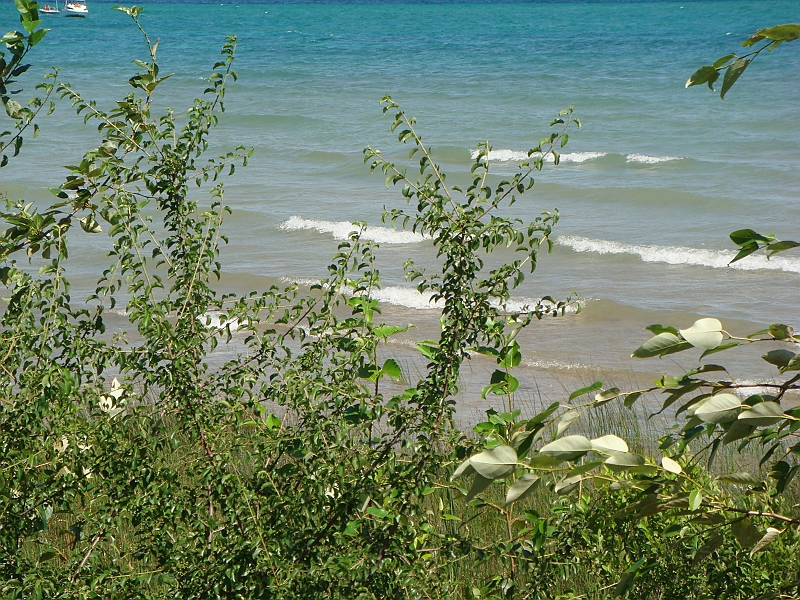 Western Michigan [2010] 575.JPG - Scenes from our trip to Western Michigan. Some places along the way were Ludington, Sleep Bear Dunes, and Traverse City.